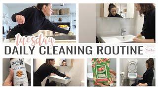 DAILY ZONE CLEANING ROUTINE - CLEAN WITH ME || THE SUNDAY STYLIST