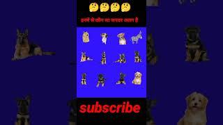 कौन सा जनवर अलग है#janwar #shorts #viral