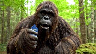 BIGFOOT VLOG: Bigfoot Finds Geek Bar!