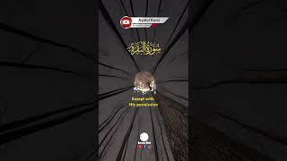 Soothing Quran Recitation of Beautiful Ayatul Kursi #shorts