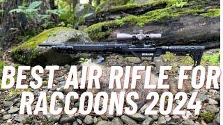 Best Air Rifle For Raccoons 2024 