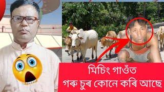 মিচিং গাওঁত গৰু চুৰ কোনে কৰিছে সকলো কথা এজন চুৰে চিকাৰ কৰিলে কেনেকৈ??