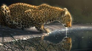 Speed Paint - Photoshop "Just A Sip" Leopard