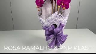 Spring 2024\\ Phalaenopsis Orchid Gift Wrap #wrapflowers