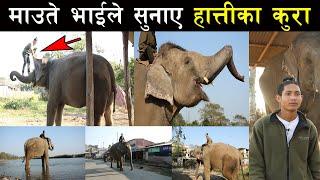 माउते भाइसँग हात्तीका कुरा - Talking with an elephant rider ( A mahout ) in Chitwan national park