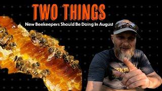 Two things new beekeepers should be doing now!! In August!!