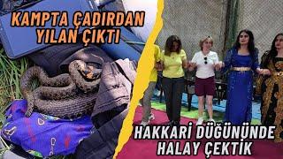 KAMPTA ÇADIRDAN YILAN ÇIKTI | HAKKARİ DÜĞÜNLERİ