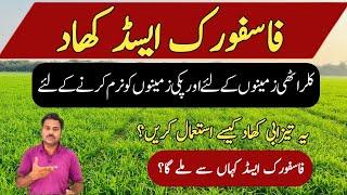 How to use phosphoric acid in agricultural crops | Phosphoric acid as fertilizer | Abid Ali Agrarian