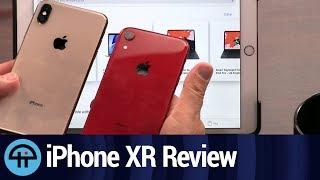 iPhone XR vs. iPhone XS Max
