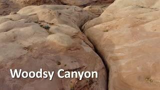 Woodsy Canyon, North Wash, Utah