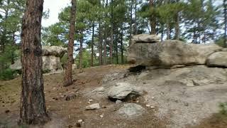 A Hike Through Spruce Mountain Trail in Larkspur Colorado