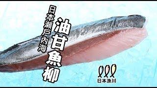 【大棧教煮 之 日本漁川系列 ── 油甘魚柳】香煎 刺身 食譜 教學