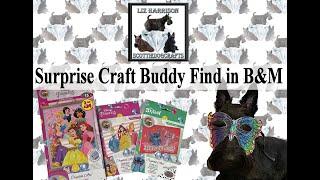 Diamond Painting |UNBOXING | B&M |Craft Buddy New items not on Website |Disney Princess |#craftbuddy