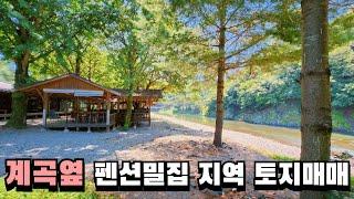 계곡접한 3,600평 토지매매 옥화9경 펜션부지 캠핑장 추천