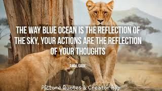 Best Self Reflection Quotes