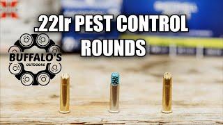 Which .22lr SHOTSHELL is best? Pest Control Showdown