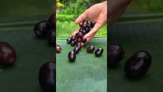 Mouth Watering Black Jamun Masala  #shorts #food #fruit #masala