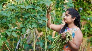 Harvested Vegetables and Then converted To Traditional Seven vegetables Curry හත් මාළුව Hath Maluwa