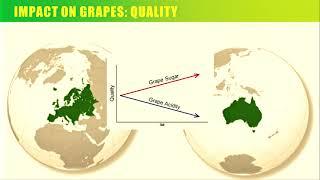 Clim4Vitis - Marco Moriondo – CNR-IBIMET, Florence, Italy