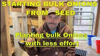  Starting Bulk Onion Plants: Seed Germination Tips️