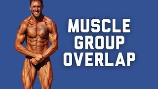 BODYBUILDING VOLUME: Considering Muscle Group Overlap In Your Program