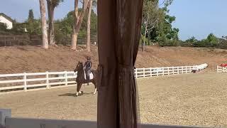 How to influence the tense horse- Dressage Basics