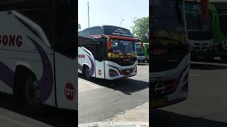 Bus Terbaru PO Bagong | Hino Ak240 Euro 4 | Ekonomi Malang Surabaya