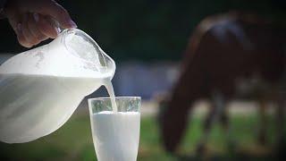 World Milk Day 2022