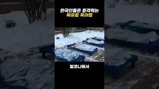 한국인들은 충격먹는 북유럽 육아법 #shorts