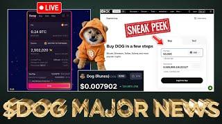 $DOG (Rune) on Magic Eden Runes Swaps & OKX CEX Sneak Peek