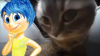 Inside Out 2 - Chipi Chipi Chapa Chapa (COVER #13)