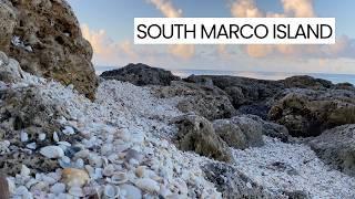 Low tide Florida shelling. Marco Island South Beach made me work to find the treasures!