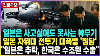 일본은 사고싶어도 못사는 韓무기 일본 자위대 전투기 대폭발 '참담' "일본은 추락, 한국은 수조원 수출"