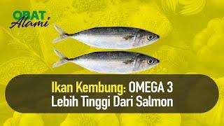 TERUNGKAP! Ini Manfaat Sering Konsumsi Ikan Kembung | Obat Alami