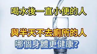 喝水後一直小便的人，與半天不去廁所的人，哪個身體更健康？