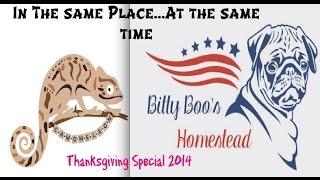 The Bitty Boo Brown & Camomeleon Thanksgiving Special 2014