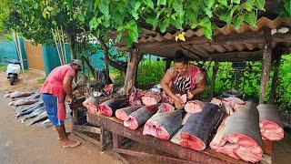 Wow!! Beautiful Nature Village's Worth Fish Market in Amazing Sri Lanka