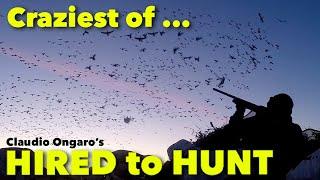 Craziest of Hired to Hunt ... Hired to Hunt Season 8 #12 .. Ongaro Duck and Goose Hunting in ALBERTA