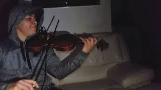 En Peligro De Extincion ( Violin Cover )