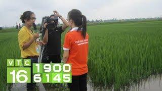 VTC16 dấu ấn 10 năm vì nông nghiệp, nông thôn, nông dân | VTC16