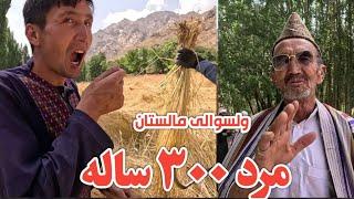 حاجی میرزا شفاعی| گاومست | شیرداغ | مالستان | افغانستان | Afghanistan