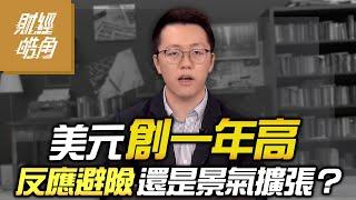 【財經皓角】第222集 美元創一年高 反應避險還是景氣擴張？｜游庭皓【GMoney X 金臨天下】20241123