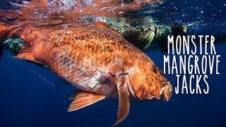 Spearfishing MONSTER Mangrove Jacks & Mulloway in Queensland (Underwater Ally Adventures) Ep.18