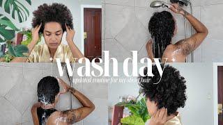 UPDATED WASH DAY ROUTINE FOR SHORT NATURAL HAIR | tutorial + tips