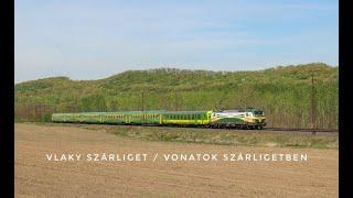 Vlaky / Trains Szárliget (Vonatok Szárligetben) (HU) 13.4 2024