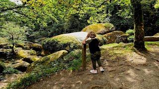 The Magical Forest |  Huelgoat   |  Finistere  | Brittany