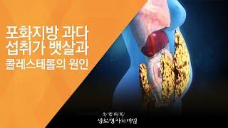 포화지방 과다 섭취가 뱃살과 콜레스테롤의 원인 - (20131106_481회 방송)_기름의 경고