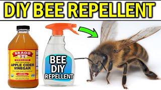 HOW TO GET RID OF BEE'S WITHOUT KILLING THEM - DIY METHODS (14 Natural Ways to Remove Bee's)