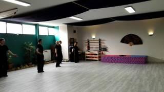 Taiji Dao ...Yingyi Verkettungs Form.