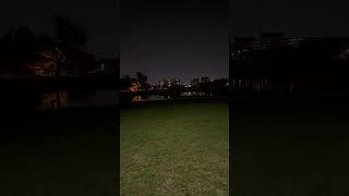 #littlelife #love #dog #dogmom #viralvideo #subscribe #video #like #shortvideo #shorts #short #fyp